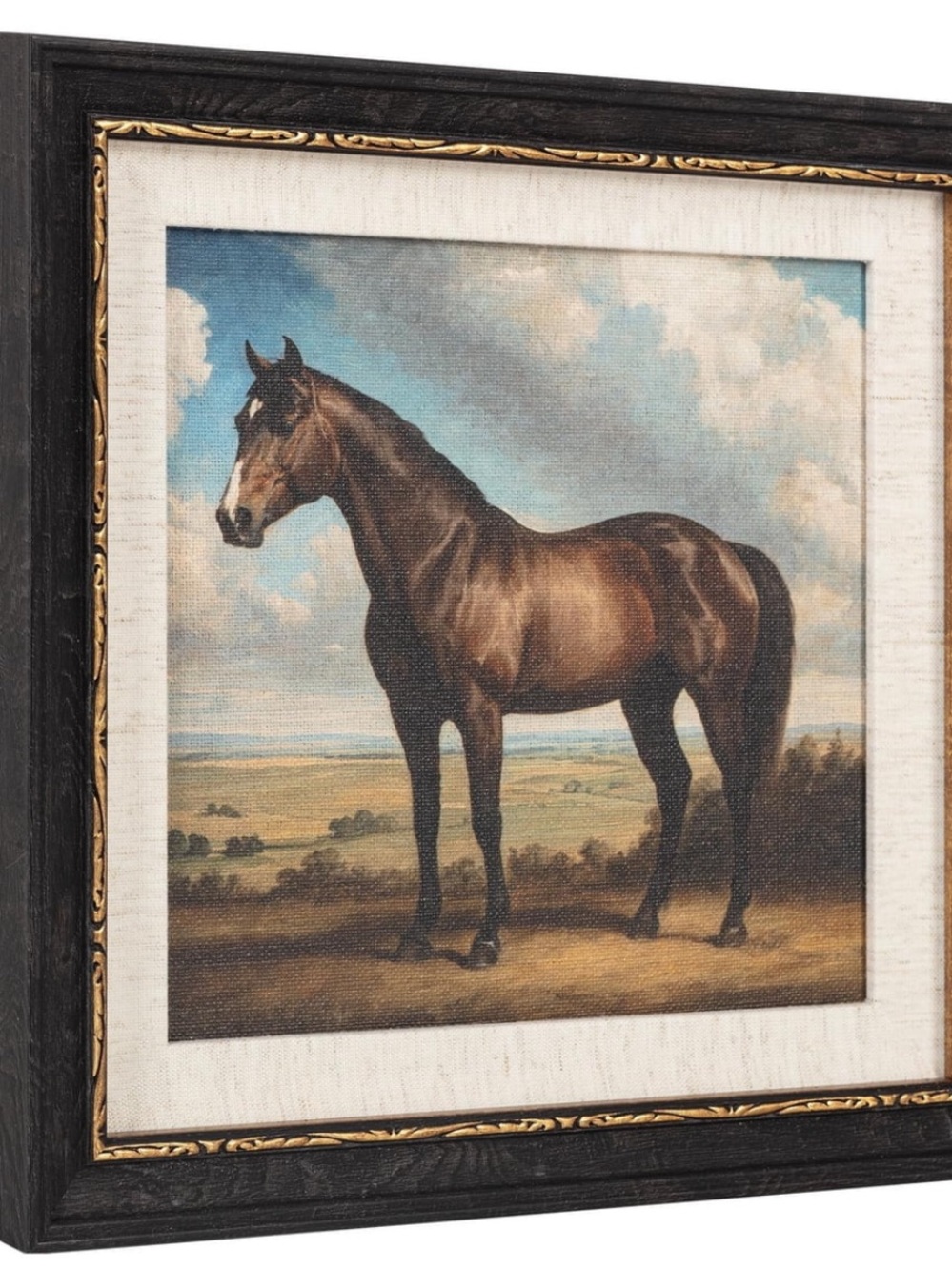My Texas House Handsome Horse Premium Canvas Art Print with Frame